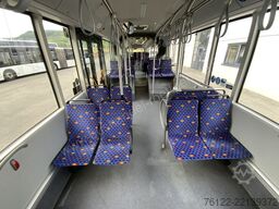 MAN A 23 Lions City