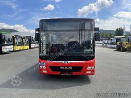 MAN A 23 Lions City G
