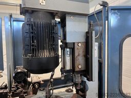 TRIADE FIR-6