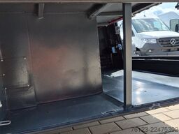 TEMSA 8 units Prestij SX,Novo Lux, Daily, Atego