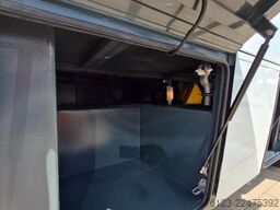 TEMSA 8 units Prestij SX,Novo Lux, Daily, Atego
