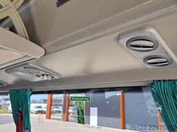 TEMSA 8 units Prestij SX,Novo Lux, Daily, Atego