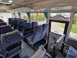 TEMSA 8 units Prestij SX,Novo Lux, Daily, Atego