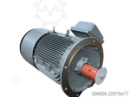 Siemens 55kW 2975obr/min