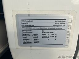 DAF LF 260 16 TONNER PLANE MIT LBW, AUTOMATIK, E6