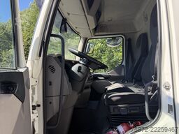 DAF LF 290 EURO 6 TAULINER 19T
