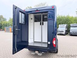 FORD Transit STX  Haras 1-2 Pferde