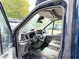 FORD Transit STX  Haras 1-2 Pferde