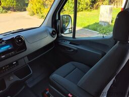 MERCEDES-BENZ 8 x 517 Sprinter Lord Light  22 SS Aktionspreis