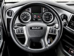 DAF XF 480 FAN SSC BDF + INTARDER