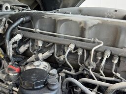 DAF XF 460 (BOITE MANUELLE / MANUAL GEARBOX)
