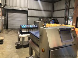 Sparc Systems LCWS 8-Lane Linear Combi Weigher
