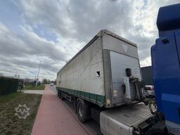 Schmitz Cargobull S01