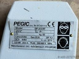 pegic GP 350 RT