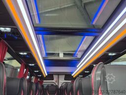 MERCEDES-BENZ 519 und 517 Glasdach XXL  20 Sitze Lord Exclusiv