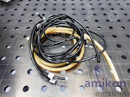 Stierli-Bieger AG Stierli-Bieger AG Stierli-Bieger AG