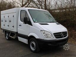 MERCEDES-BENZ Sprinter 310 ColdCar 3+3 Türen  -33°C