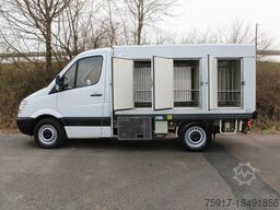 MERCEDES-BENZ Sprinter 310 ColdCar 3+3 Türen  -33°C
