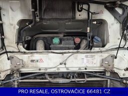 DAF XF 480 FT MEGA SSC EURO 6 + PARKCLIMA