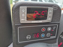 MERCEDES-BENZ 319 StockSprinter VIP Shuttle 9 SS  Panoramadach