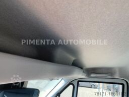 IVECO Daily 70C18A8 TK AUT TRENNWAND THERMOKI LBW LED