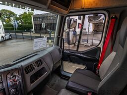 RENAULT D19 280 DTI+DHOLLANDIA 3T.