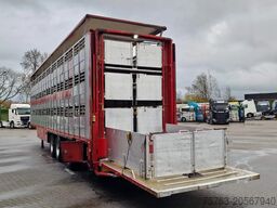 CUPPERS 3 deck livestock trailer - Water & Ventilation ...