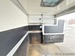 RENAULT Master STX Haras 3 Sitzer