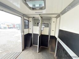 RENAULT Master STX Haras 3 Sitzer