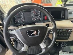 MAN TGM 15.290 PRITSCHE PLANE