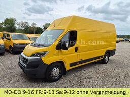FIAT Ducato Maxi L5H3 Durchgangstüre Regale HOCHDACH