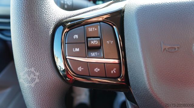 Ploščati dostavnik FORD Transit Custom 320L1 Kasten Trend 2.5L PHEV Kam