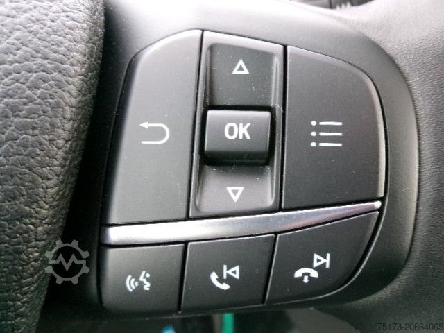 Minibus FORD Transit 350 L3H2 Trend Kombi Rampe KMP PDC GRA