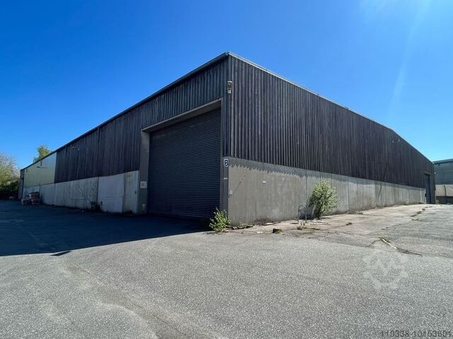 Wood glulam hall warehouse 3.600m² 