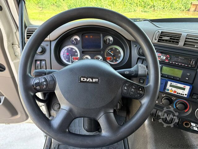 Vežimas šaldytuve ir (arba) šaldytuve DAF CF 65 .300 FA Euro5