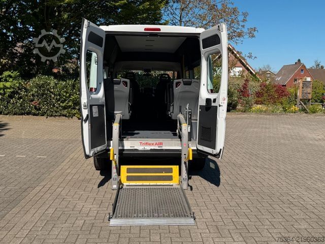 Minibus FIAT Ducato 3.0 CNG/Erdgas 9 Sitze Schiebetür Klima