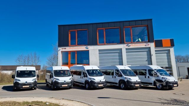 Minibus FIAT 1x Ducato 1x Opel Movano 18 SS in Stock