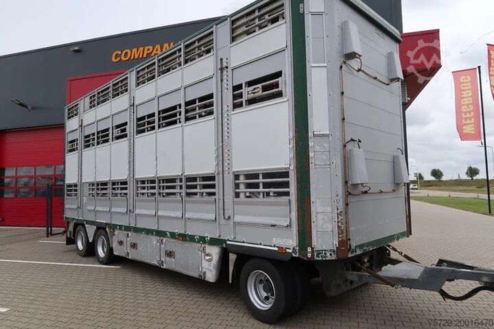 Pengangkutan ternak Pezzaioli RBA 31 G - Livestock transport - Cattle transport