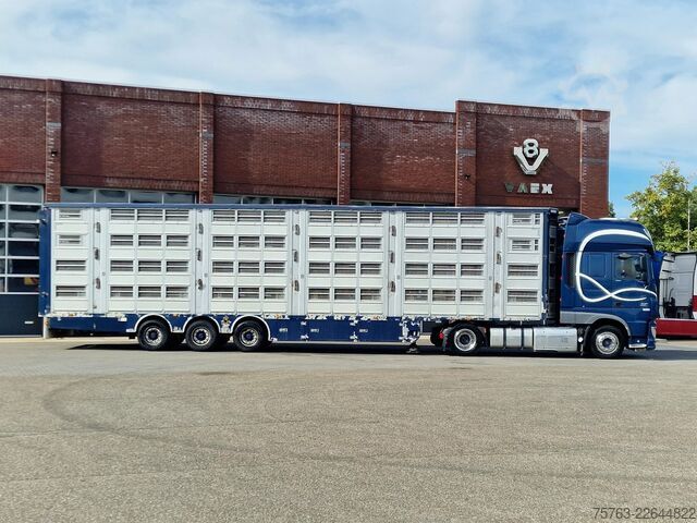 نقل المواشي Pezzaioli + Daf XF - 3/4 deck livestock - 134.8m2 - Water...