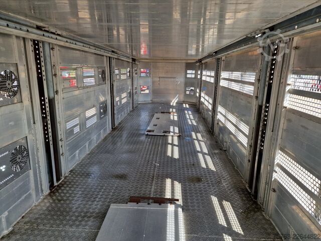 نقل المواشي Pezzaioli + Daf XF - 3/4 deck livestock - 134.8m2 - Water...