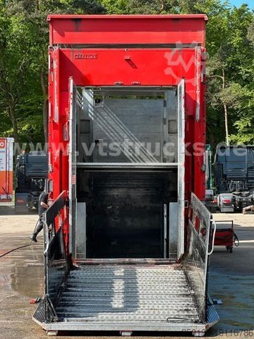 马匹运输挂车 PEZZIOLI 2.Stock Lüfter Tränke Cattle Cruiser