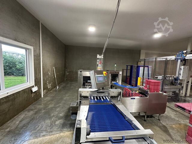 مصنع تعبئة البيض Moba Farmpacker M150 – 54.000 eieren per uur