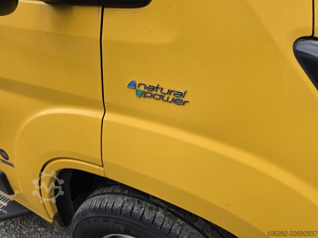 Minibus FIAC Ducato
