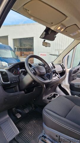 Miniautocarro FIAT Fiat Ducato 9 Sitzer Systemboden Rolli Stock