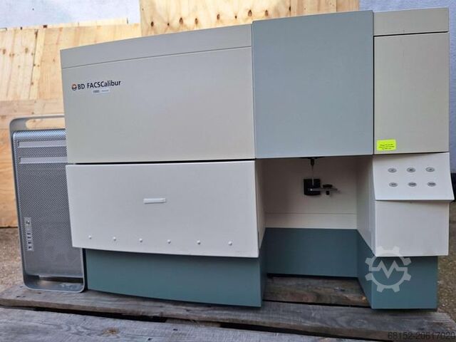 Citómetro de Fluxo Becton Dickinson FACSCalibur Becton Dickinson FACSCalibur