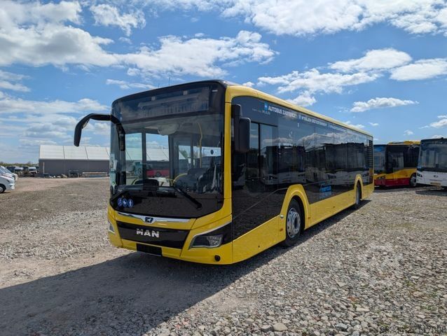 Otobüs MAN Lion's City