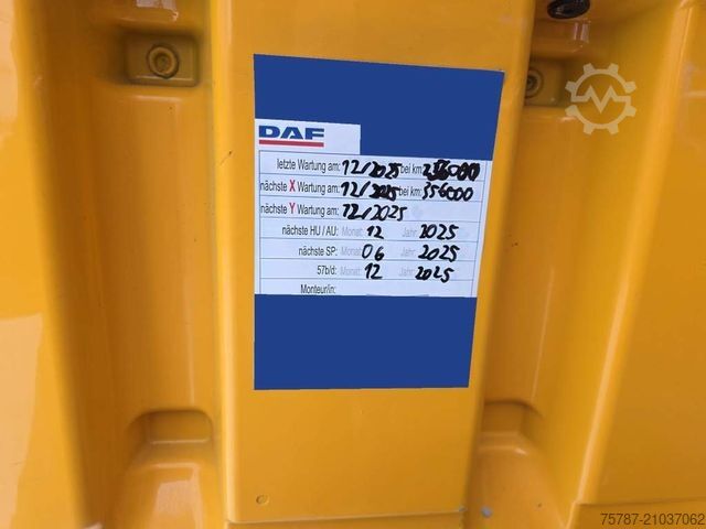 Trattore stradale standard DAF XF 480 SC, ZF Intarder, Kühlschrank