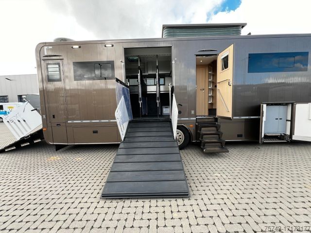 Boskapsbil MERCEDES-BENZ Actros 2651 STX Pop-Out, Pop-Up. 6 Pferde