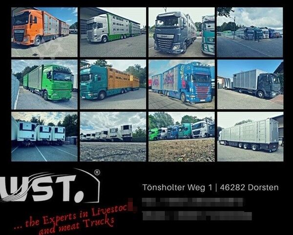 Holzexport Sp. z o.o. Holzexport Sp. z o.o. Holzexport Sp. z o.o.