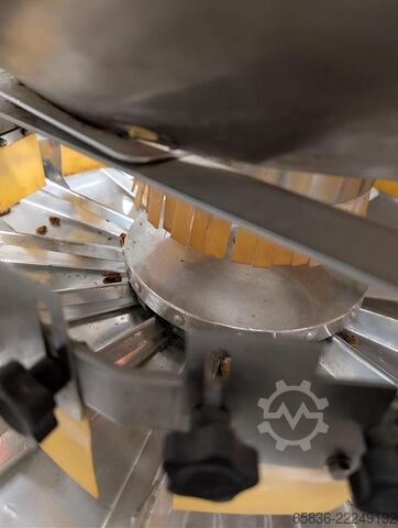 Multiweigh Complete weighing and packing line